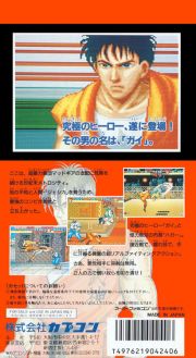 back image for Final Fight Guy (Japan Version)