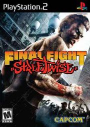 front image for Final Fight: Streetwise (USA Version)