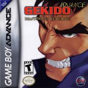 front image for Gekido Advance: Kintaro's Revenge (USA Version)
