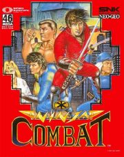 front image for Ninja Combat (USA Version)