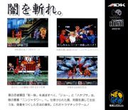 back image for Ninja Combat (Japan Version)