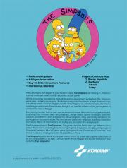 back image for The Simpsons (USA Version)